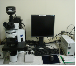 蛍光顕微鏡システム